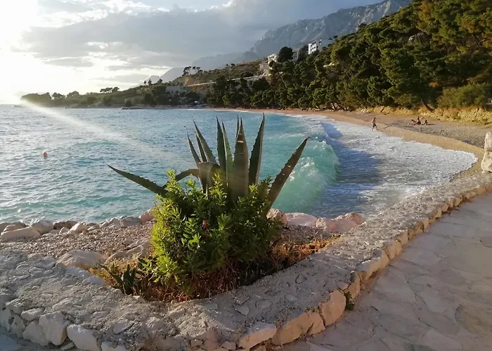 Apartment 70 M From The Beach