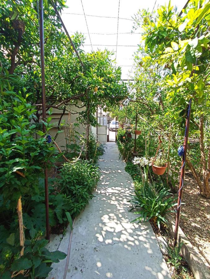 70 M From The Podgora